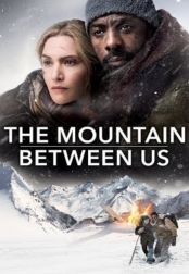 The Mountain Between Us