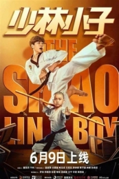 Kung Fu Boy / The Shaolin Boy 