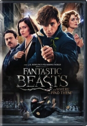 Fantastic Beasts: 2