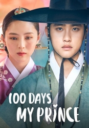 100 Days My Prince